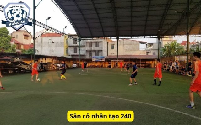 Sân cỏ nhân tạo 240
